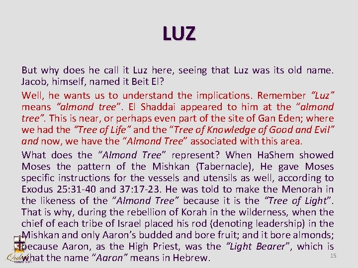 LUZ But why does he call it Luz here, seeing that Luz was its