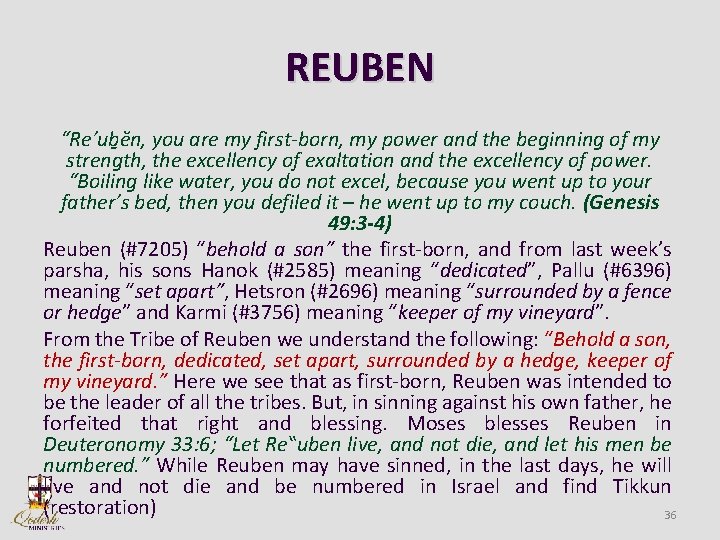 REUBEN “Re’ub ĕn, you are my first-born, my power and the beginning of my