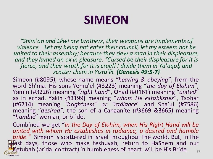 SIMEON “Shimʽon and Lĕwi are brothers, their weapons are implements of violence. “Let my