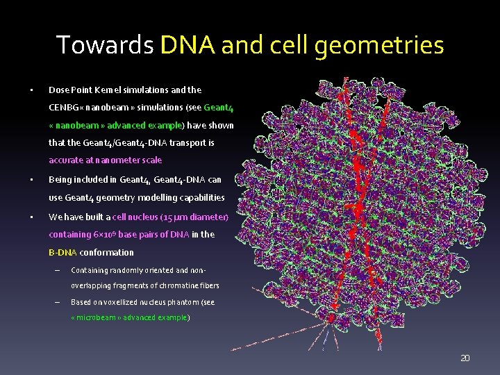 Towards DNA and cell geometries • Dose Point Kernel simulations and the CENBG «