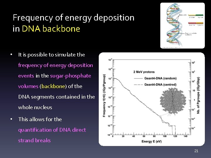 Frequency of energy deposition in DNA backbone • It is possible to simulate the