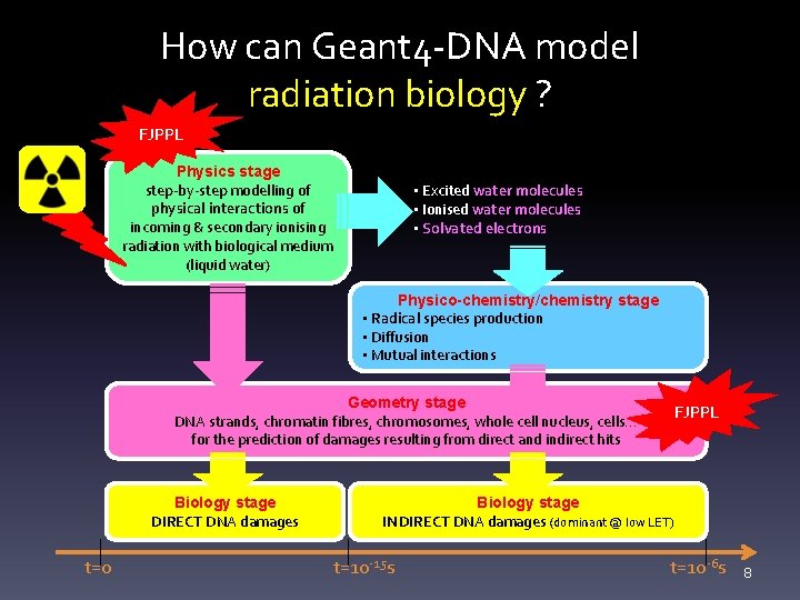 How can Geant 4 -DNA model radiation biology ? FJPPL Physics stage step-by-step modelling