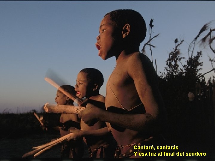 Cantaré, cantarás Y esa luz al final del sendero 