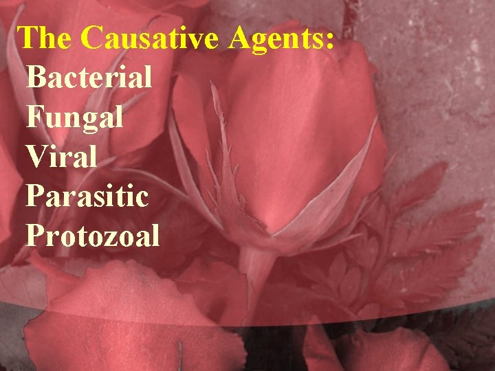The Causative Agents: Bacterial Fungal Viral Parasitic Protozoal 