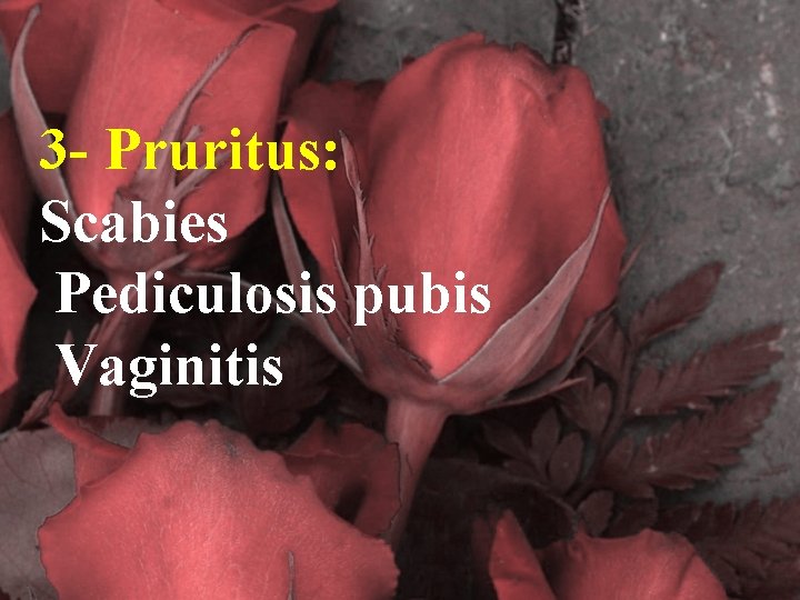 3 - Pruritus: Scabies Pediculosis pubis Vaginitis 