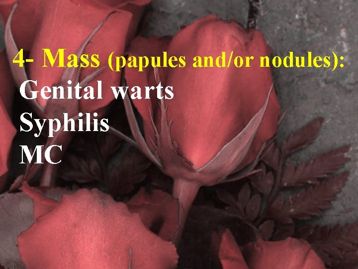 4 - Mass (papules and/or nodules): Genital warts Syphilis MC 