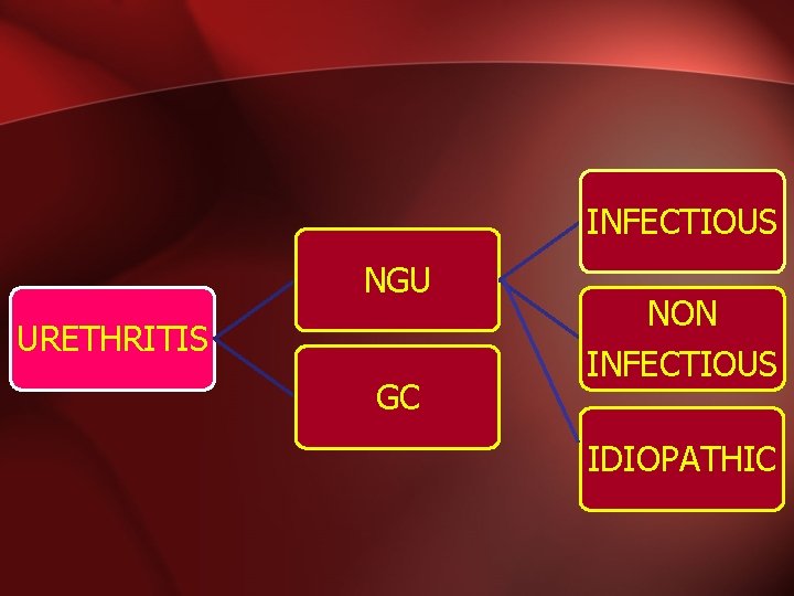 INFECTIOUS NGU URETHRITIS GC NON INFECTIOUS IDIOPATHIC 