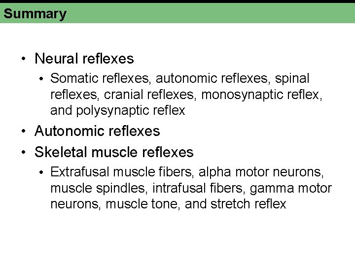 Summary • Neural reflexes • Somatic reflexes, autonomic reflexes, spinal reflexes, cranial reflexes, monosynaptic Summary • Neural reflexes • Somatic reflexes, autonomic reflexes, spinal reflexes, cranial reflexes, monosynaptic