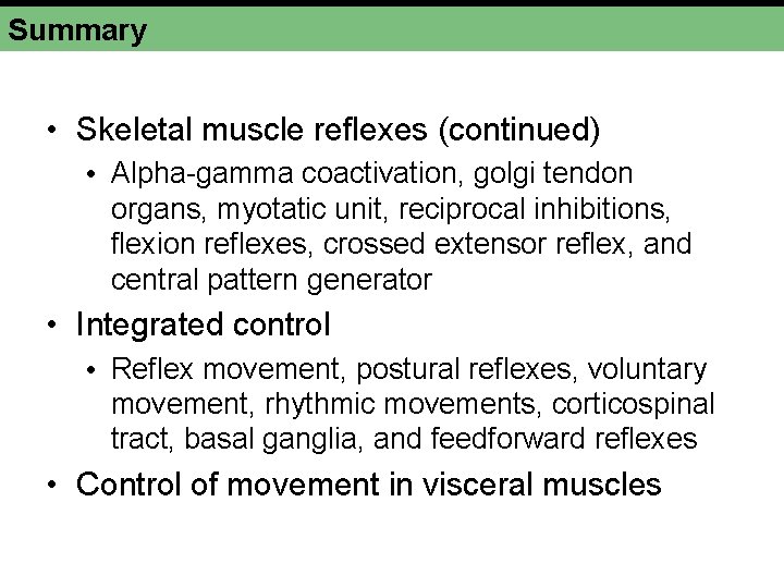 Summary • Skeletal muscle reflexes (continued) • Alpha-gamma coactivation, golgi tendon organs, myotatic unit, Summary • Skeletal muscle reflexes (continued) • Alpha-gamma coactivation, golgi tendon organs, myotatic unit,
