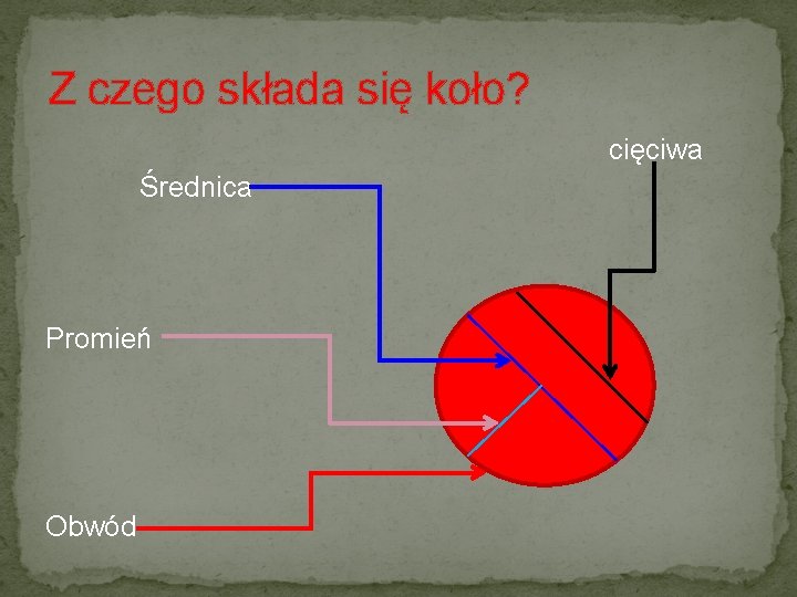 Z czego składa się koło? cięciwa Średnica Promień Obwód 