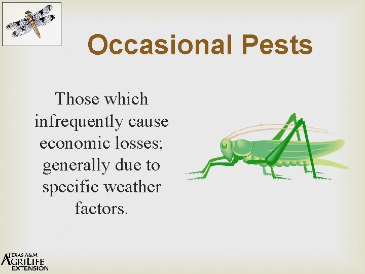 Occasional Pests Those which infrequently cause economic losses; generally due to specific weather factors.