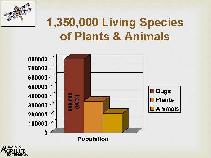 800, 000 (60%) 1, 350, 000 Living Species of Plants & Animals 