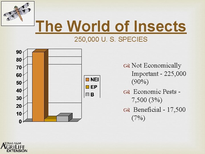 The World of Insects 250, 000 U. S. SPECIES Not Economically Important - 225,