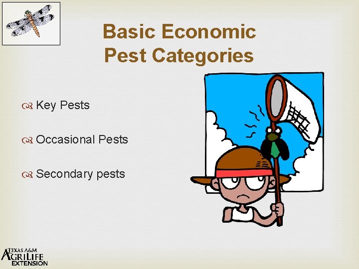 Basic Economic Pest Categories Key Pests Occasional Pests Secondary pests 