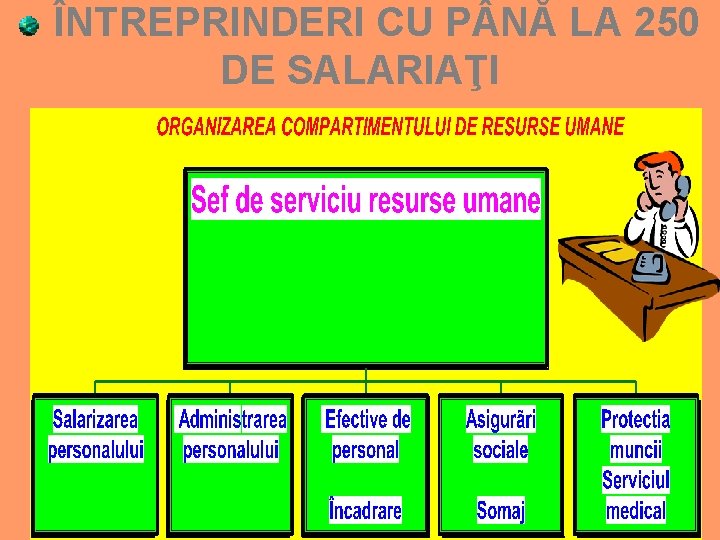 ÎNTREPRINDERI CU P NĂ LA 250 DE SALARIAŢI 