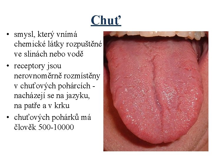 Chuť • smysl, který vnímá chemické látky rozpuštěné ve slinách nebo vodě • receptory