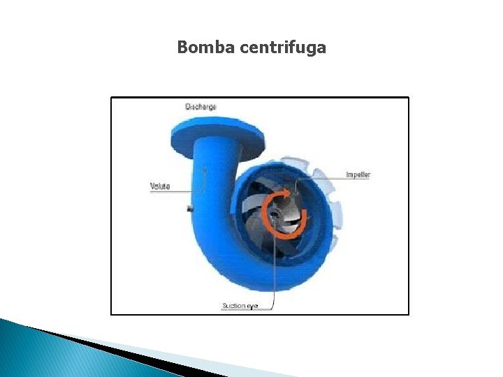 Bomba centrifuga 