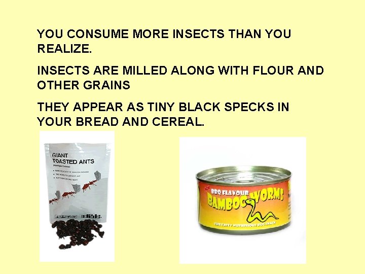 YOU CONSUME MORE INSECTS THAN YOU REALIZE. INSECTS ARE MILLED ALONG WITH FLOUR AND