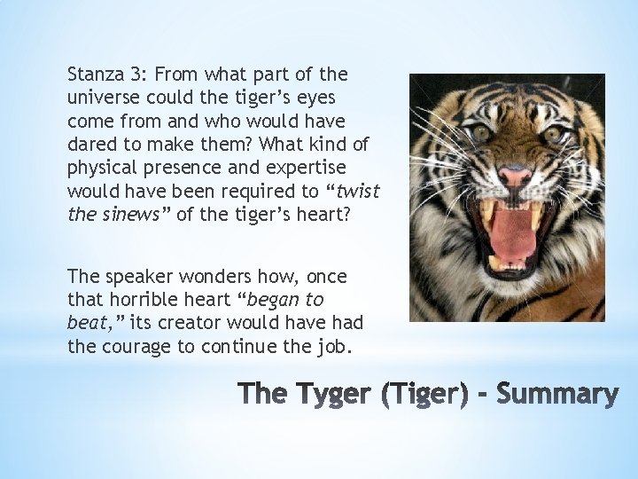 Stanza 3: From what part of the universe could the tiger’s eyes come from