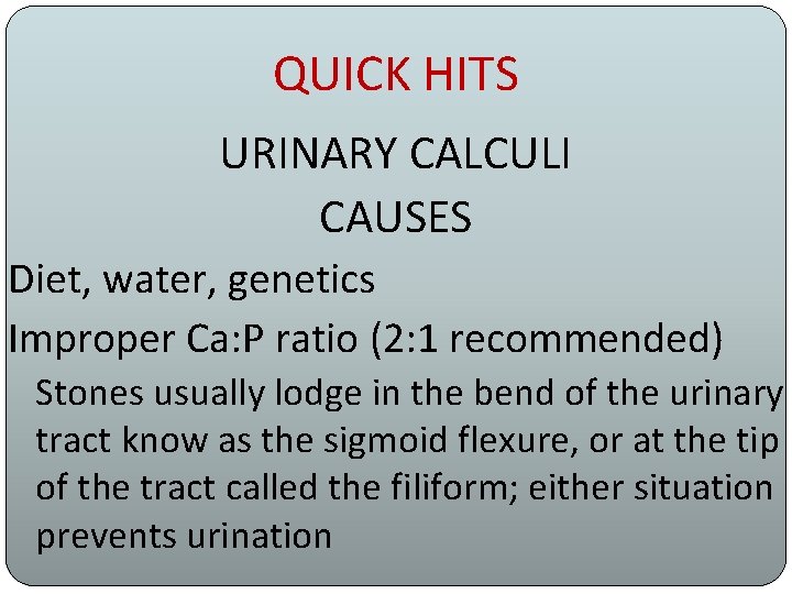 QUICK HITS URINARY CALCULI CAUSES Diet, water, genetics Improper Ca: P ratio (2: 1