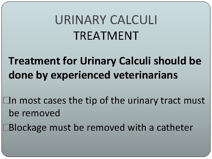 URINARY CALCULI TREATMENT Treatment for Urinary Calculi should be done by experienced veterinarians �In