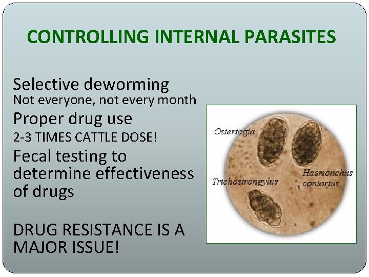 CONTROLLING INTERNAL PARASITES Selective deworming Not everyone, not every month Proper drug use 2