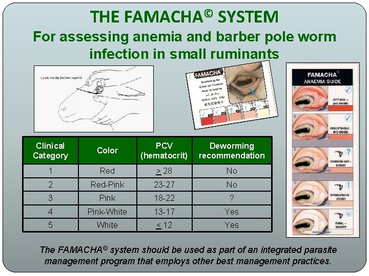 THE FAMACHA© SYSTEM For assessing anemia and barber pole worm infection in small ruminants