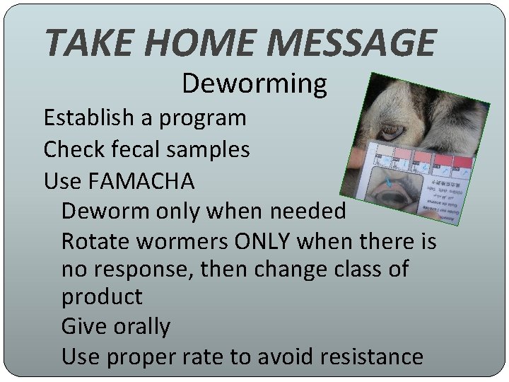 TAKE HOME MESSAGE Deworming Establish a program Check fecal samples Use FAMACHA Deworm only