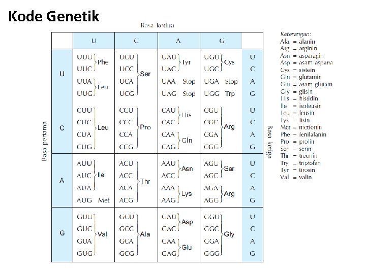 Kode Genetik 
