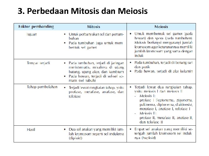 3. Perbedaan Mitosis dan Meiosis 