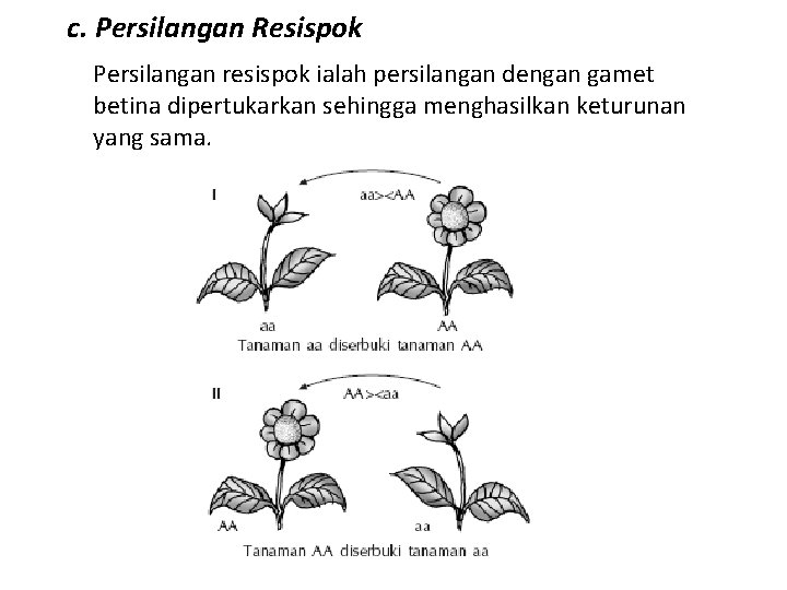 c. Persilangan Resispok Persilangan resispok ialah persilangan dengan gamet betina dipertukarkan sehingga menghasilkan keturunan