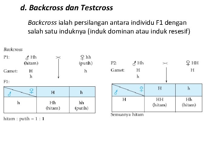 d. Backcross dan Testcross Backcross ialah persilangan antara individu F 1 dengan salah satu