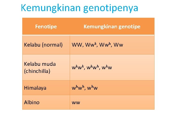 Kemungkinan genotipenya Fenotipe Kemungkinan genotipe Kelabu (normal) WW, Wwk, Wwh, Ww Kelabu muda (chinchilla)