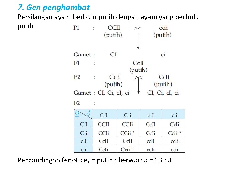 7. Gen penghambat Persilangan ayam berbulu putih dengan ayam yang berbulu putih. Perbandingan fenotipe,