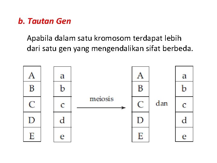 b. Tautan Gen Apabila dalam satu kromosom terdapat lebih dari satu gen yang mengendalikan