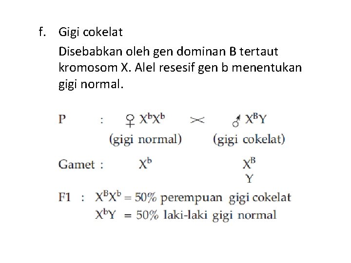 f. Gigi cokelat Disebabkan oleh gen dominan B tertaut kromosom X. Alel resesif gen