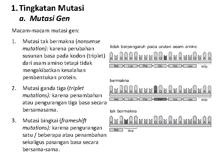 1. Tingkatan Mutasi a. Mutasi Gen Macam-macam mutasi gen: 1. Mutasi tak bermakna (nonsense