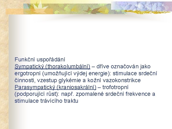 Funkční uspořádání Sympatický (thorakolumbální) – dříve označován jako ergotropní (umožňující výdej energie): stimulace srdeční