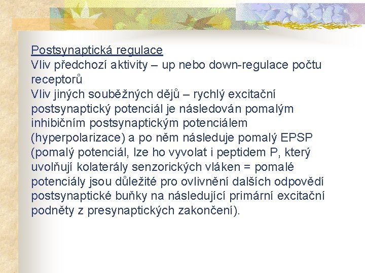 Postsynaptická regulace Vliv předchozí aktivity – up nebo down-regulace počtu receptorů Vliv jiných souběžných