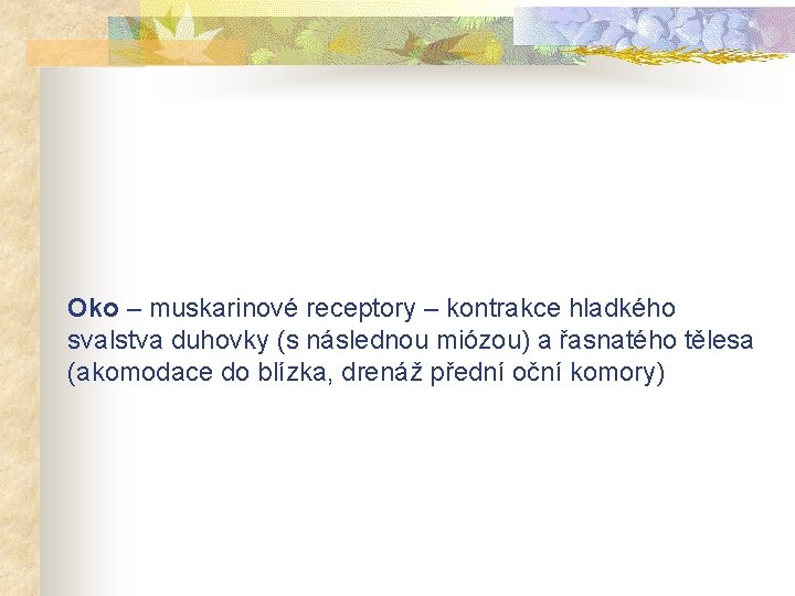 Oko – muskarinové receptory – kontrakce hladkého svalstva duhovky (s následnou miózou) a řasnatého