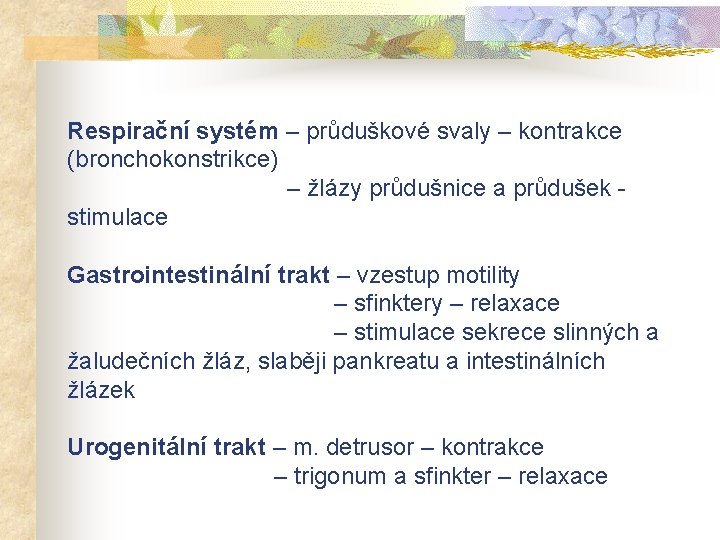 Respirační systém – průduškové svaly – kontrakce (bronchokonstrikce) – žlázy průdušnice a průdušek -