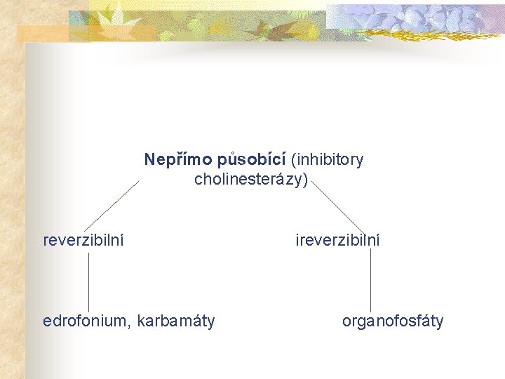 Nepřímo působící (inhibitory cholinesterázy) reverzibilní ireverzibilní edrofonium, karbamáty organofosfáty 