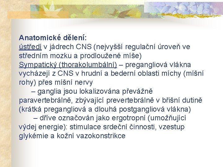 Anatomické dělení: ústředí v jádrech CNS (nejvyšší regulační úroveň ve středním mozku a prodloužené