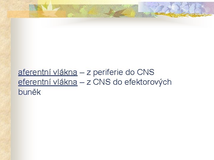 aferentní vlákna – z periferie do CNS eferentní vlákna – z CNS do efektorových