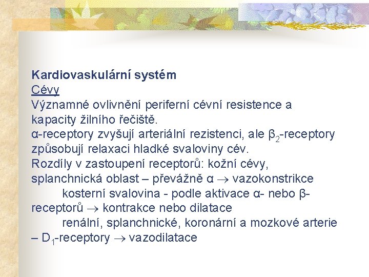 Kardiovaskulární systém Cévy Významné ovlivnění periferní cévní resistence a kapacity žilního řečiště. α-receptory zvyšují