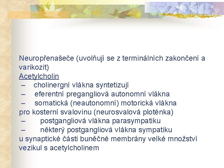 Neuropřenašeče (uvolňují se z terminálních zakončení a varikozit) Acetylcholin – cholinergní vlákna syntetizují –