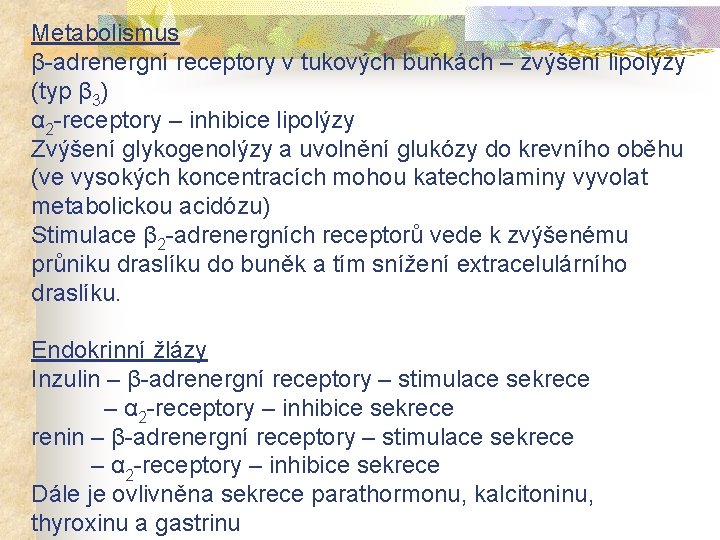 Metabolismus β-adrenergní receptory v tukových buňkách – zvýšení lipolýzy (typ β 3) α 2