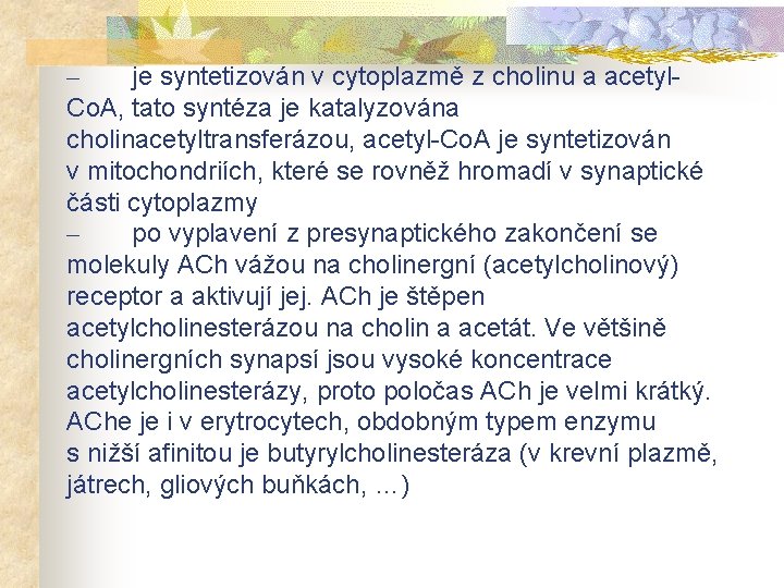 – je syntetizován v cytoplazmě z cholinu a acetyl. Co. A, tato syntéza je