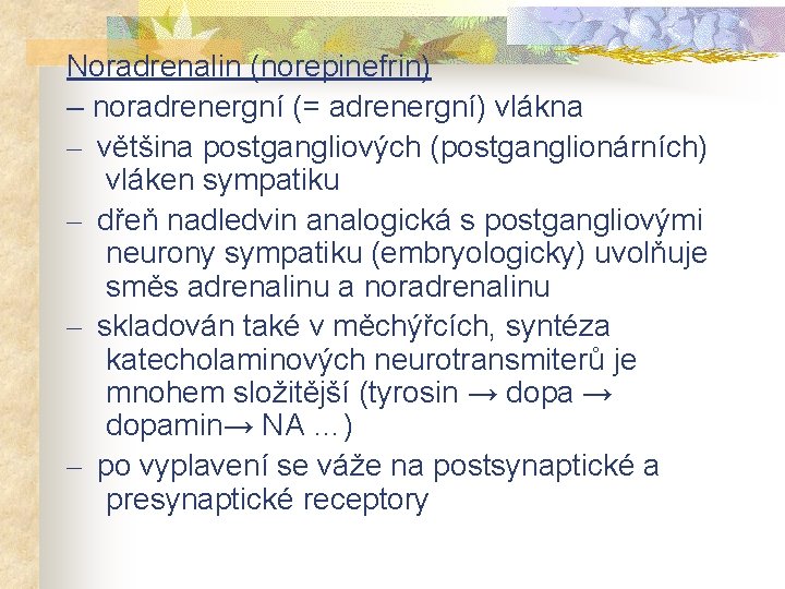 Noradrenalin (norepinefrin) – noradrenergní (= adrenergní) vlákna – většina postgangliových (postganglionárních) vláken sympatiku –