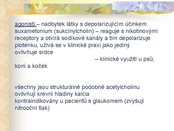 agonisti – nadbytek látky s depolarizujícím účinkem suxametonium (sukcinylcholin) – reaguje s nikotinovými receptory